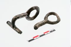 Foto von Bronzeringzügelhaken (NHMW-PRAE-024363)